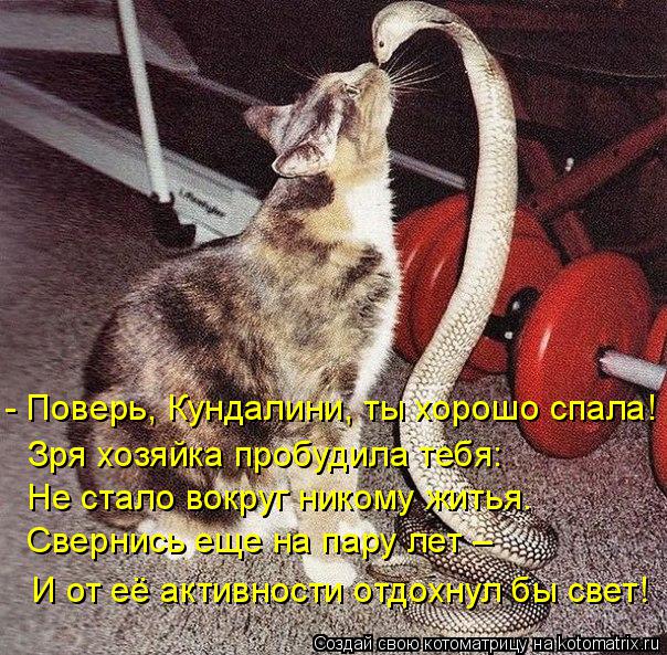 - Поверь, Кундалини, ты хорошо спала! Зря хозяйка пробудила тебя: Не стало вокруг никому житья. Сверн... Котоматрица: - Поверь, Кундалини, ты хорошо спала! Зря хозяйка пробудила тебя: Не стало вокруг никому житья. Свернись еще на пару лет – И от её активности