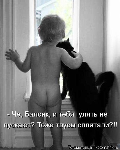- Че, Балсик, и тебя гулять не пускают? Тоже тлусы сплятали?!!... Котоматрица: - Че, Балсик, и тебя гулять не пускают? Тоже тлусы сплятали?!!