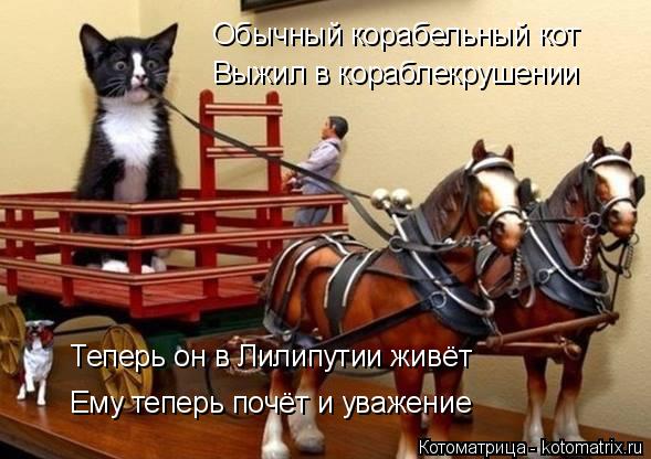 Обычный корабельный кот Выжил в кораблекрушении Теперь он в Лилипутии живёт Ему теперь почёт и уважен... Котоматрица: Обычный корабельный кот Выжил в кораблекрушении Теперь он в Лилипутии живёт Ему теперь почёт и уважение