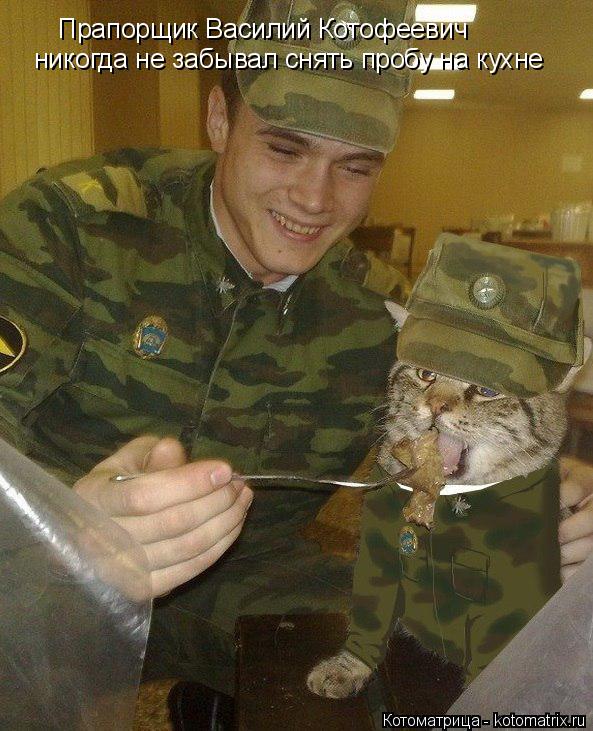 Прапорщик Василий Котофеевич никогда не забывал снять пробу на кухне... Котоматрица: Прапорщик Василий Котофеевич никогда не забывал снять пробу на кухне