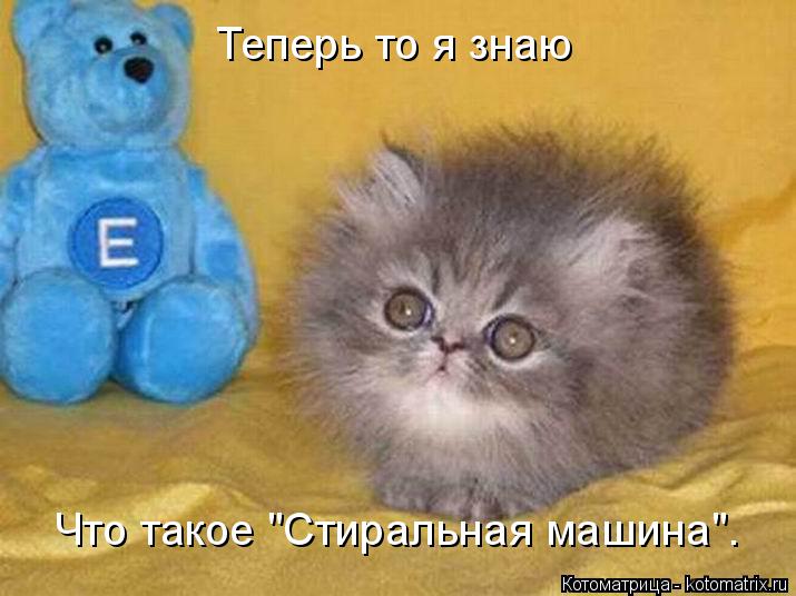Котоматрица: Теперь то я знаю Что такое "Стиральная машина".