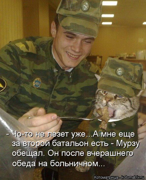 Котоматрица: - Чо-то не лезет уже...А мне еще за второй батальон есть - Мурзу обещал. Он после вчерашнего обеда на больничном...