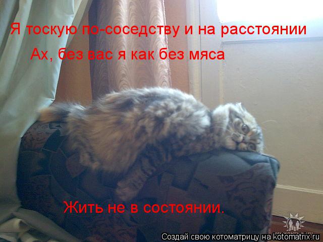 Котоматрица: Я тоскую по-соседству и на расстоянии Ах, без вас я как без мяса Жить не в состоянии.