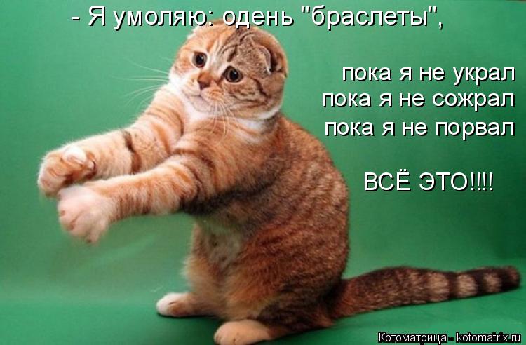 Котоматрица: пока я не порвал пока я не сожрал пока я не украл ВСЁ ЭТО!!!! - Я умоляю: одень "браслеты",