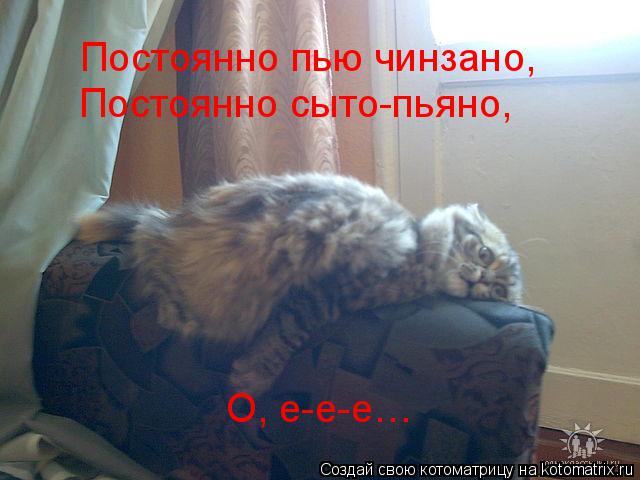 Котоматрица: Постоянно пью чинзано, Постоянно сыто-пьяно, О, е-е-е…