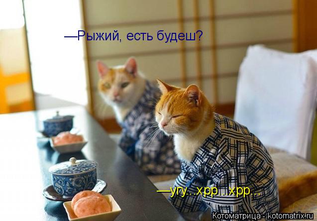 Котоматрица: —Рыжий, есть будеш? —угу...хрр...хрр...