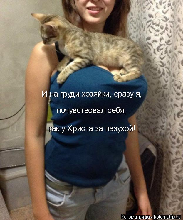 Котоматрица: как у Христа за пазухой! почувствовал себя, И на груди хозяйки, сразу я,