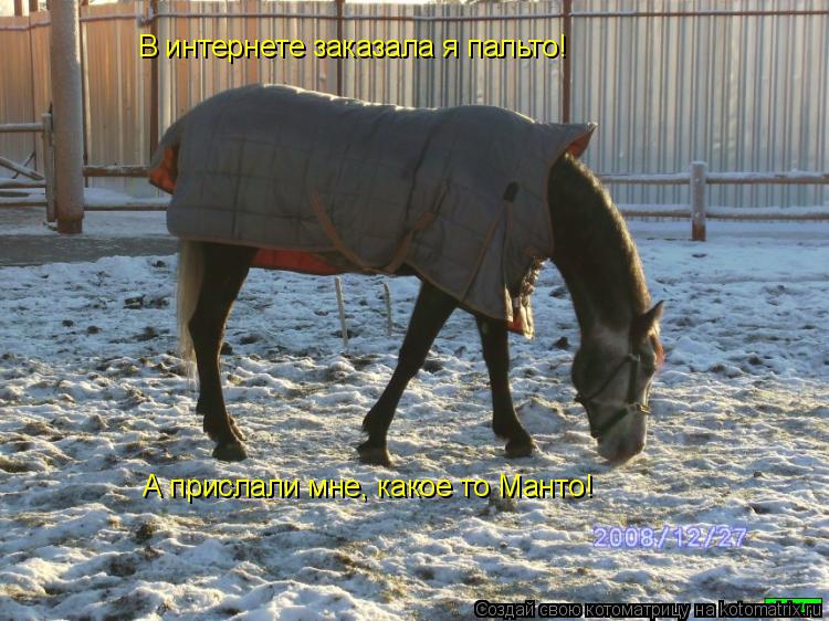 В интернете заказала я пальто! А прислали мне, какое то Манто!... Котоматрица: В интернете заказала я пальто! А прислали мне, какое то Манто!