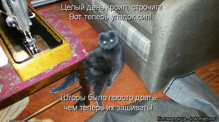 Целый день кроил, строчил! Вот теперь упадок сил! Шторы было просто драть, чем теперь их зашивать!... Котоматрица: Целый день кроил, строчил! Вот теперь упадок сил! Шторы было просто драть, чем теперь их зашивать!