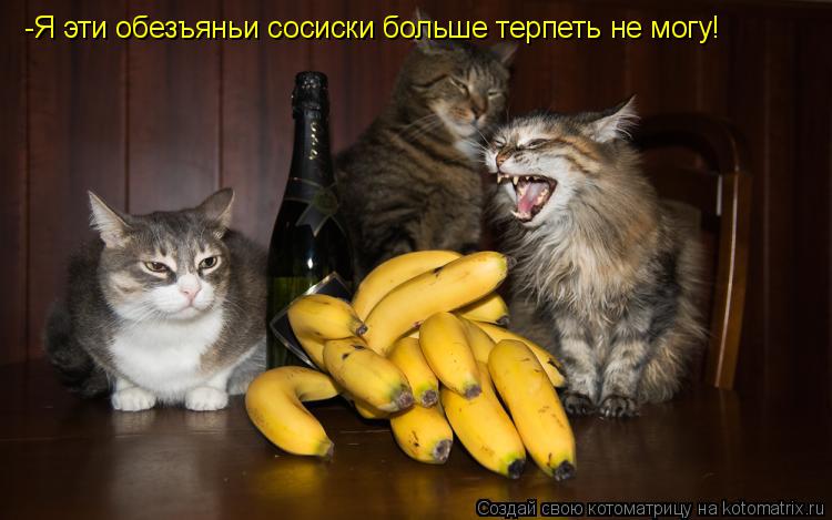 Котоматрица: -Я эти обезъяньи сосиски больше терпеть не могу!