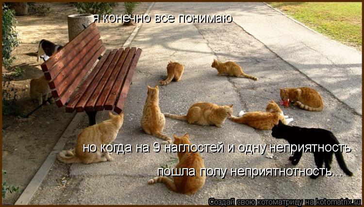 Котоматрица: пошла полу неприятнотность... но когда на 9 наглостей и одну неприятность  я конечно все понимаю