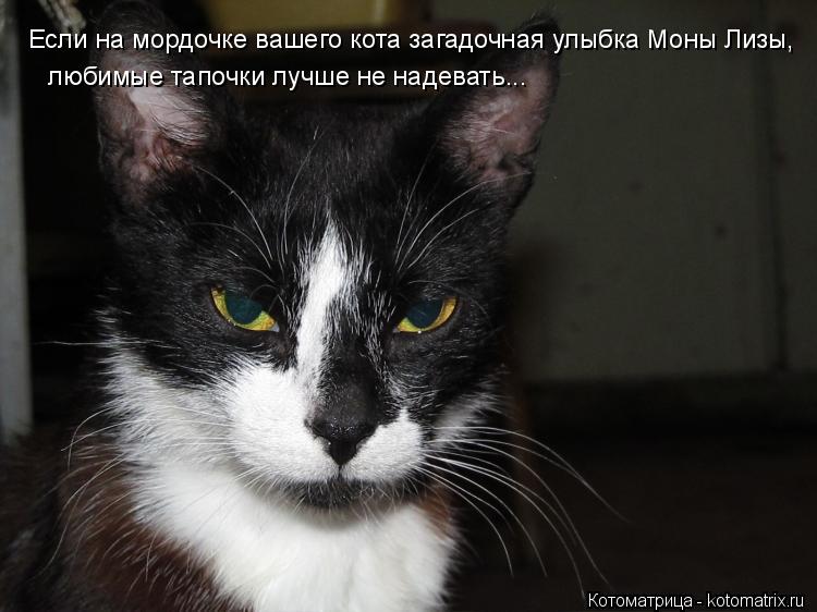 Котоматрица: Если на мордочке вашего кота загадочная улыбка Моны Лизы, любимые тапочки лучше не надевать...