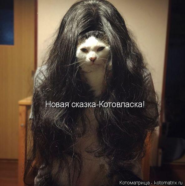 Новая сказка-Котовласка!... Котоматрица: Новая сказка-Котовласка!
