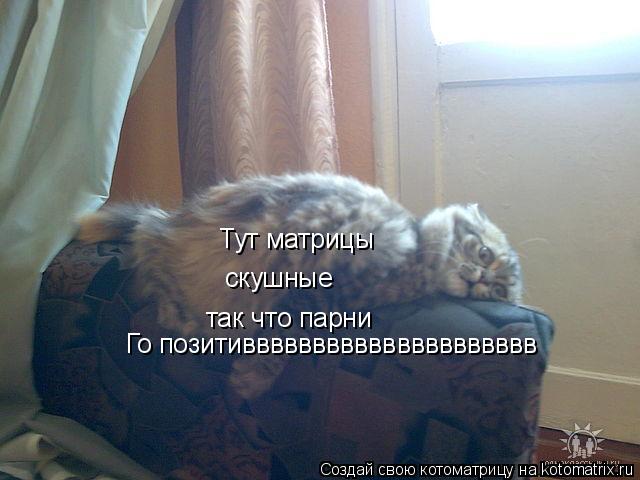 Тут матрицы скушные так что парни Го позитиввввввввввввввввввввв... Котоматрица: Тут матрицы скушные так что парни Го позитиввввввввввввввввввввв
