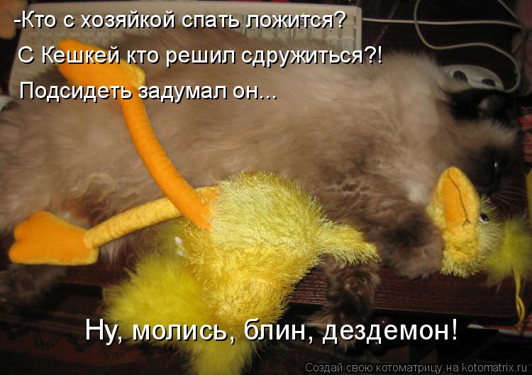 Котоматрица: -Кто с хозяйкой спать ложится? С Кешкей кто решил сдружиться?! Подсидеть задумал он... Ну, молись, блин, дездемон!