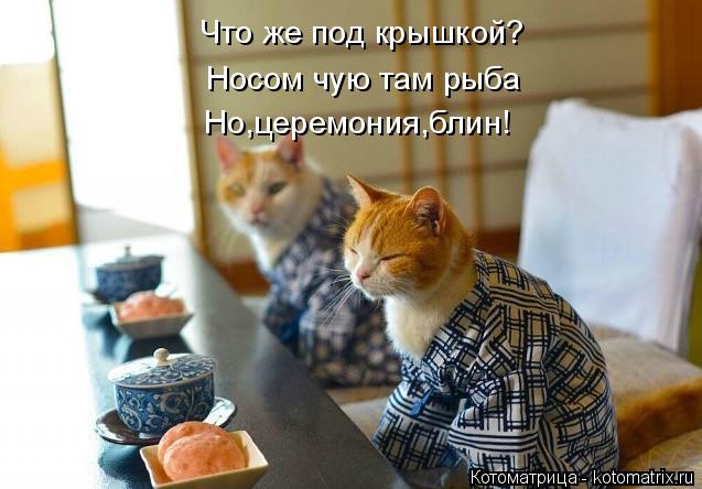 Котоматрица: Что же под крышкой? Носом чую там рыба Но,церемония,блин!