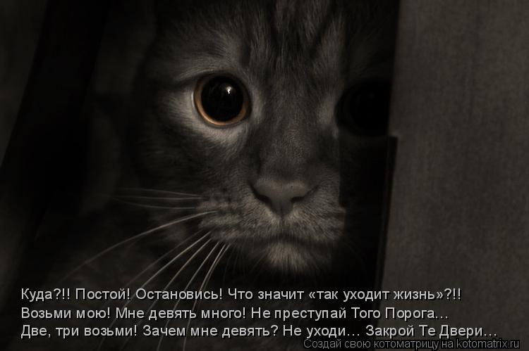 Котоматрица: Две, три возьми! Зачем мне девять? Не уходи… Закрой Те Двери… Куда?!! Постой! Остановись! Что значит «так уходит жизнь»?!! Возьми мою! Мне девя
