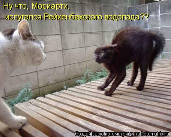 Котоматрица: Ну что, Мориарти, испугался Рейхенбахского водопада??