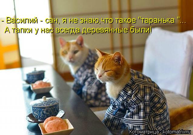 Котоматрица: - Василий - сан, я не знаю,что такое "таранька "... А тапки у нас всегда деревянные были!