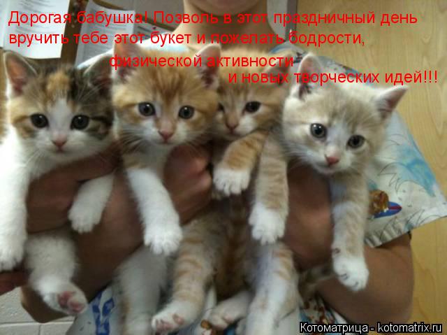 Котоматрица: Дорогая бабушка! Позволь в этот праздничный день вручить тебе этот букет и пожелать бодрости,  физической активности и новых творческих ид