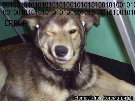 Котоматрица: 001001010101010101001010101001010010101010010101010010101010110 ERROR 001001010101010101001010101001010010101010010101010010101010110 ERROR ERROR