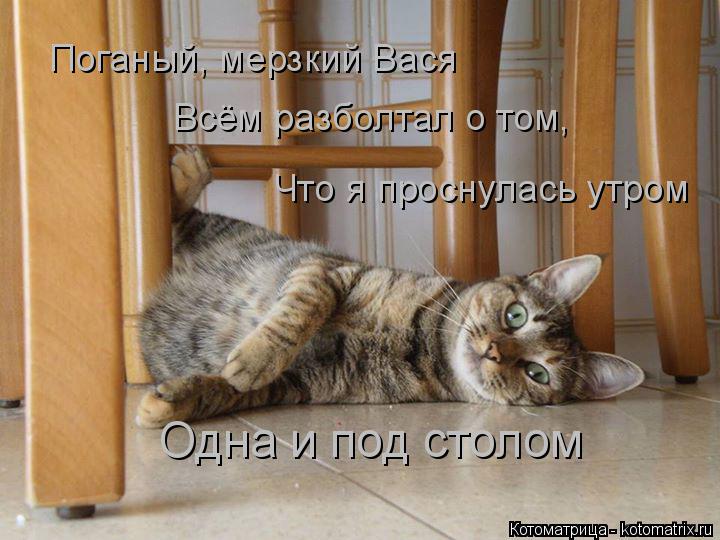 Котоматрица: Поганый, мерзкий Вася  Всём разболтал о том,  Что я проснулась утром  Одна и под столом