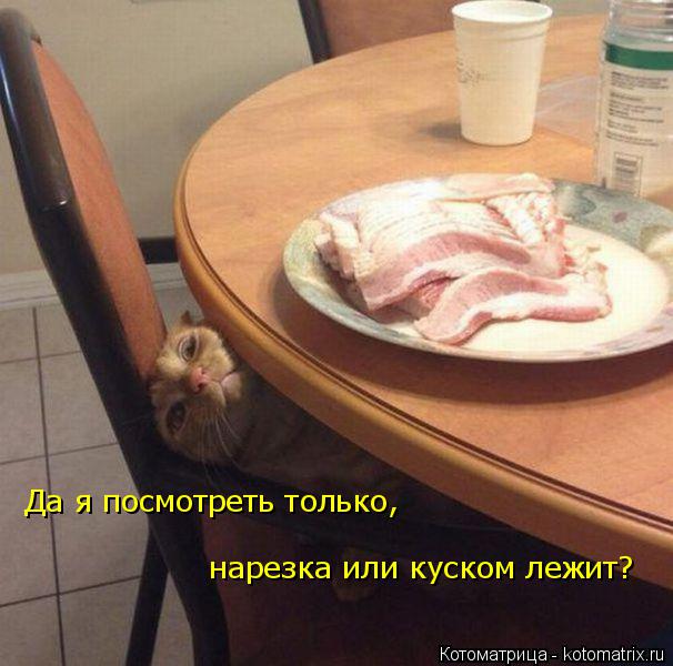 Да я посмотреть только, нарезка или куском лежит?... Котоматрица: Да я посмотреть только, нарезка или куском лежит?