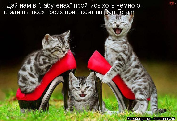 - Дай нам в "лабутенах" пройтись хоть немного - глядишь, всех троих пригласят на Ван Гога!!... Котоматрица: - Дай нам в "лабутенах" пройтись хоть немного - глядишь, всех троих пригласят на Ван Гога!!