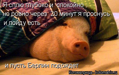 Котоматрица: Я сплю глубоко и  спокойно ,  но ровно через  20 минут я проснусь   и пойду есть  ... и пусть Берлин подождет