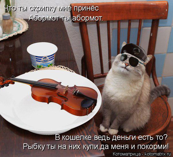 Котоматрица: Что ты скрипку мне принёс Абормот ты,абормот. В кошелке ведь деньги есть то? Рыбку ты на них купи,да меня и покорми!