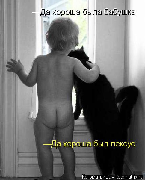 —Да хороша была бабушка —Да хороша был лексус... Котоматрица: —Да хороша была бабушка —Да хороша был лексус