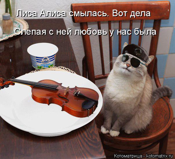 Котоматрица: Лиса Алиса смылась. Вот дела  Слепая с ней любовь у нас была