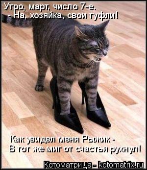 Утро, март, число 7-е. Как увидел меня Рыжик - В тот же миг от счастья рухнул! - На, хозяйка, свои ... Котоматрица: Утро, март, число 7-е. Как увидел меня Рыжик - В тот же миг от счастья рухнул! - На, хозяйка, свои туфли!