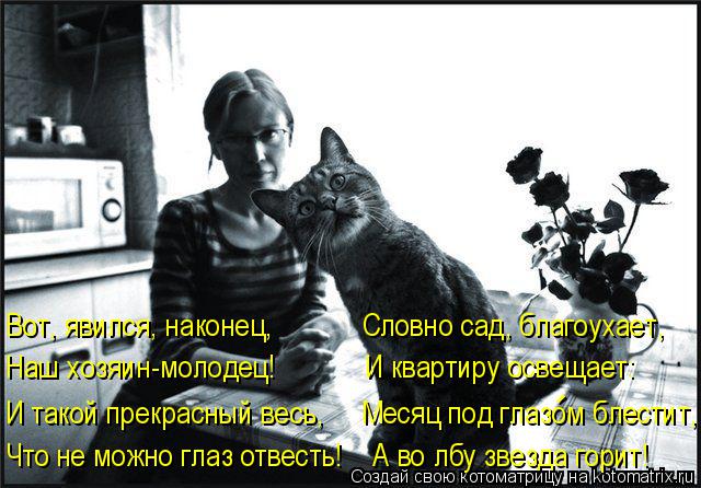 И такой прекрасный весь, Месяц под глазом блестит, Наш хозяин-молодец! И квартиру осве... Котоматрица: И такой прекрасный весь, Месяц под глазом блестит, Наш хозяин-молодец! И квартиру освещает: Вот, явился, наконец, Словно сад, бл