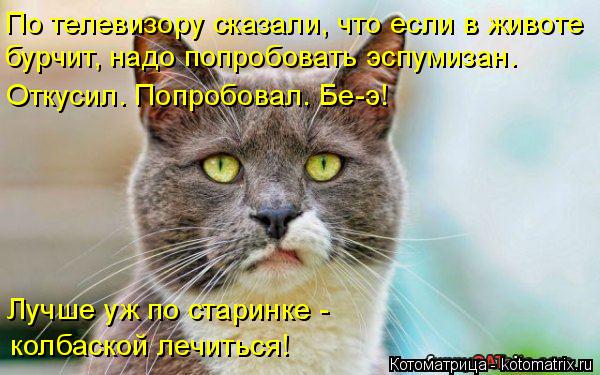 Котоматрица: По телевизору сказали, что если в животе бурчит, надо попробовать эспумизан.  Откусил. Попробовал. Бе-э! Лучше уж по старинке -  колбаской леч