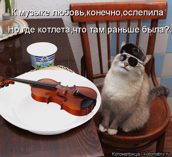 Котоматрица: К музыке любовь,конечно,ослепила  Но где котлета,что там раньше была?...