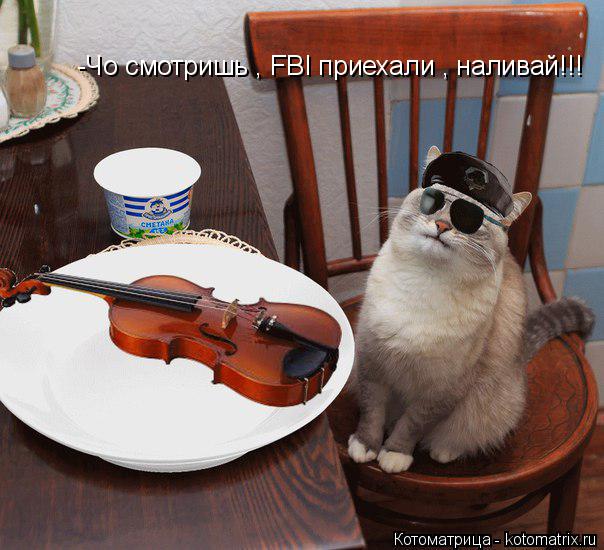 -Чо смотришь , FBI приехали , наливай!!!... Котоматрица: -Чо смотришь , FBI приехали , наливай!!!