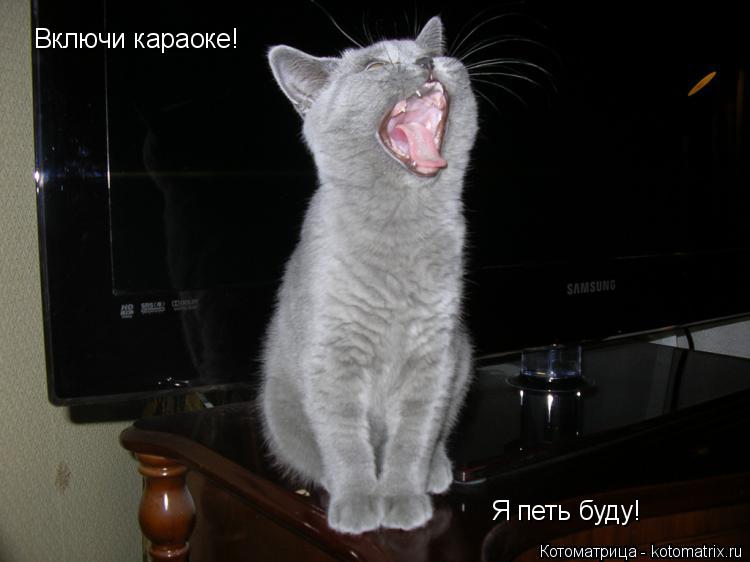 Включи караоке! Я петь буду!... Котоматрица: Включи караоке! Я петь буду!