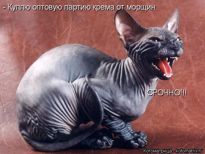 - Куплю оптовую партию крема от морщин. СРОЧНО!!!... Котоматрица: - Куплю оптовую партию крема от морщин. СРОЧНО!!!