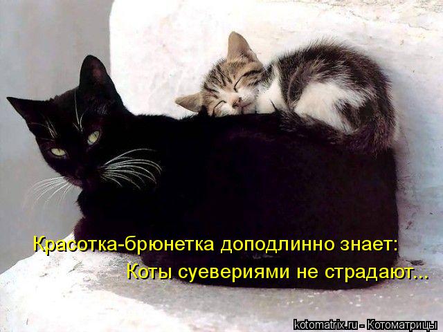 Котоматрица: Красотка-брюнетка доподлинно знает: Коты суевериями не страдают...