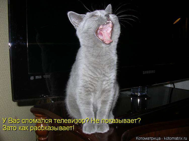 У Вас сломался телевизор? Не показывает? Зато как рассказывает!... Котоматрица: У Вас сломался телевизор? Не показывает? Зато как рассказывает!