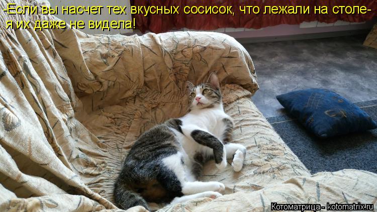 -Если вы насчет тех вкусных сосисок, что лежали на столе- я их даже не видела!... Котоматрица: -Если вы насчет тех вкусных сосисок, что лежали на столе- я их даже не видела!