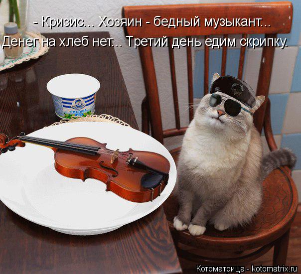 Котоматрица: - Кризис... Хозяин - бедный музыкант... Денег на хлеб нет... Третий день едим скрипку.