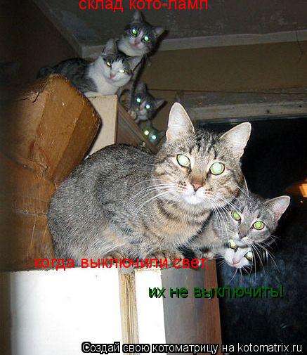 склад кото-ламп когда выключили свет, их не выключить!... Котоматрица: склад кото-ламп когда выключили свет, их не выключить!