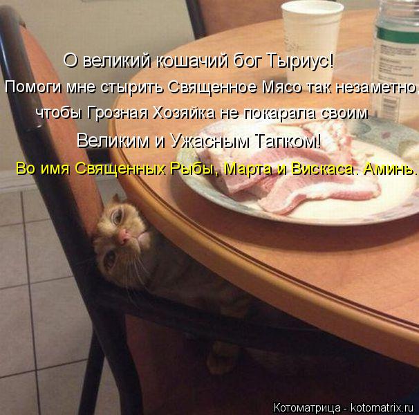 О великий кошачий бог Тыриус! Помоги мне стырить Священное Мясо так незаметно, чтобы Грозная Хозяйка ... Котоматрица: О великий кошачий бог Тыриус! Помоги мне стырить Священное Мясо так незаметно, чтобы Грозная Хозяйка не покарала своим Великим и Ужасным Та