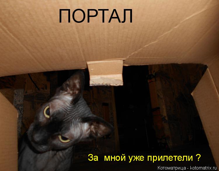 ПОРТАЛ За мной уже прилетели ?... Котоматрица: ПОРТАЛ За мной уже прилетели ?
