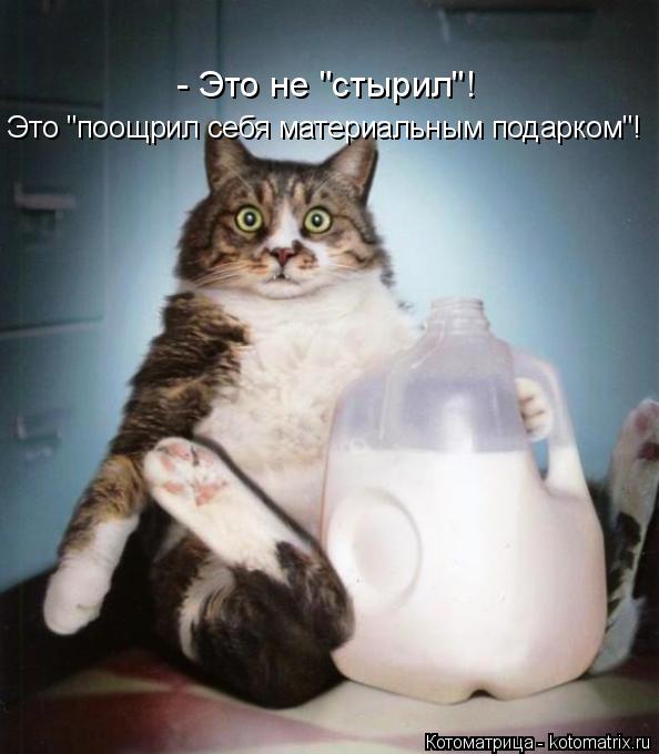 Котоматрица: - Это не "стырил"! Это "поощрил себя материальным подарком"!