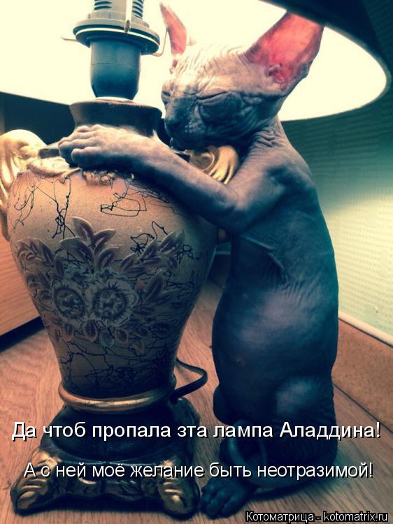 Котоматрица: Да чтоб пропала зта лампа Аладдина! А с ней моё желание быть неотразимой!