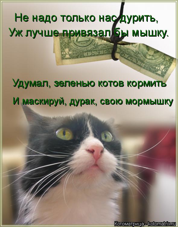 Не надо только нас дурить, Уж лучше привязал бы мышку. Удумал, зеленью котов кормить И маскируй, дура... Котоматрица: Не надо только нас дурить, Уж лучше привязал бы мышку. Удумал, зеленью котов кормить И маскируй, дурак, свою мормышку