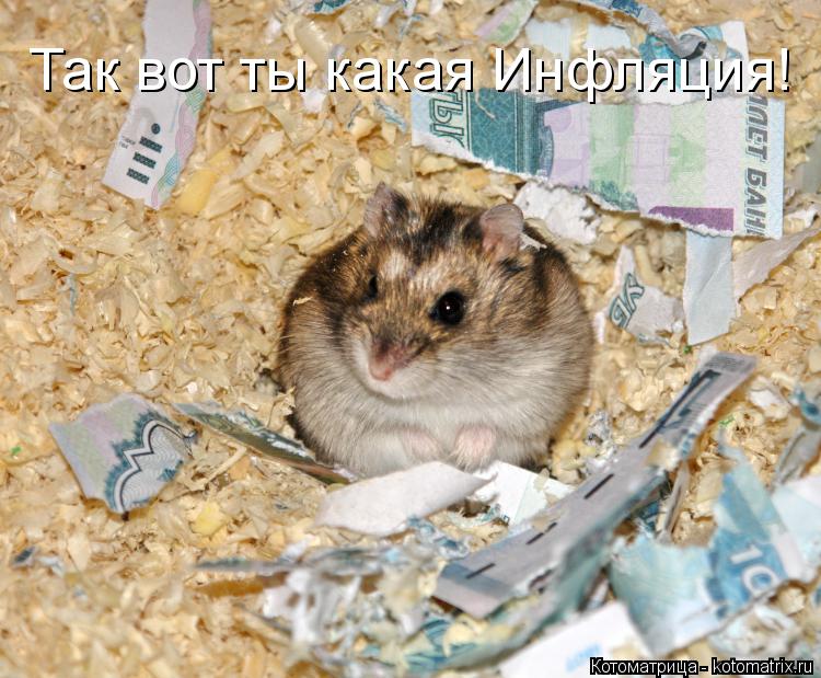 Так вот ты какая Инфляция!... Котоматрица: Так вот ты какая Инфляция!